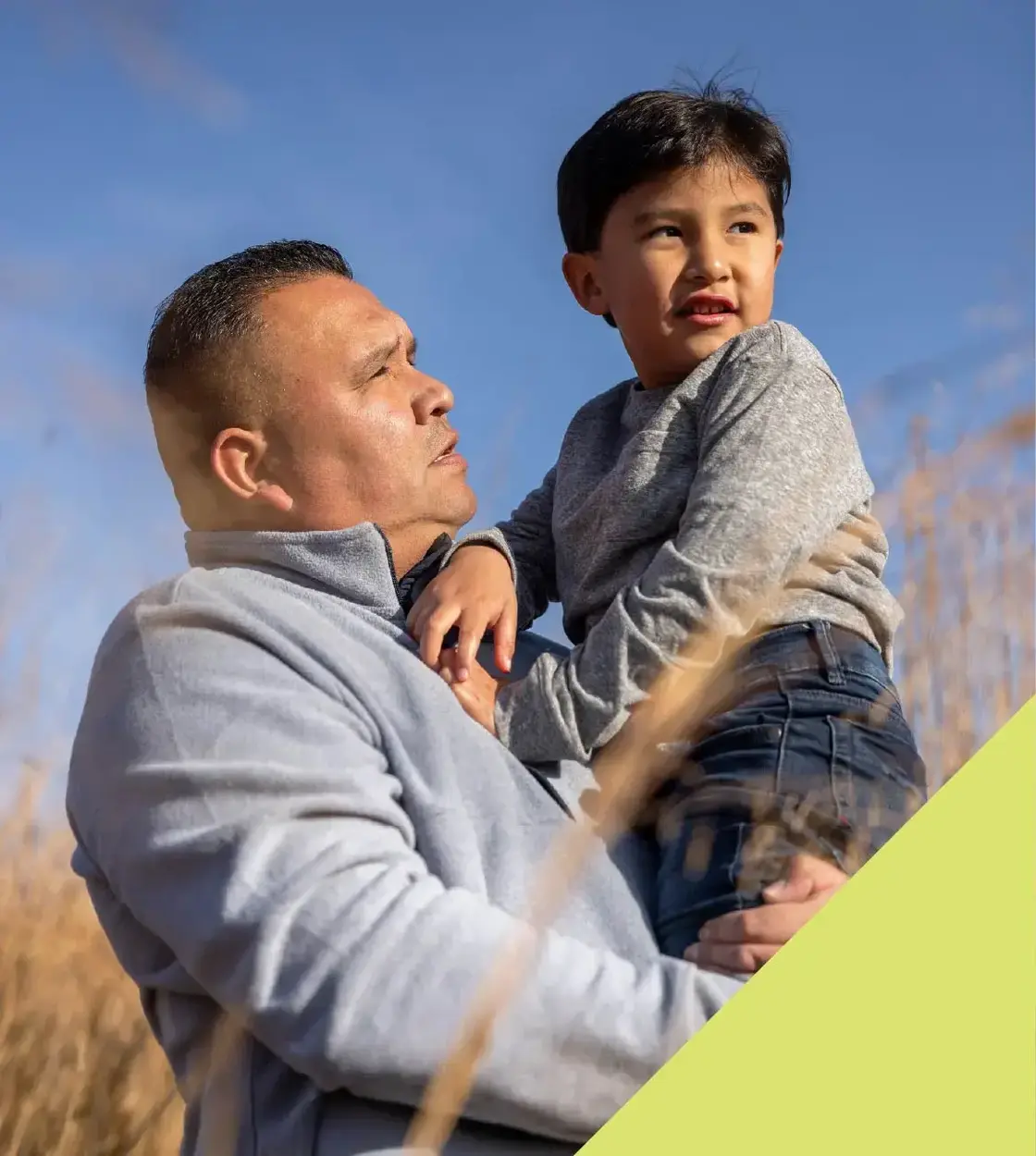 A father carries his young son through a wheat field on a clear blue day.