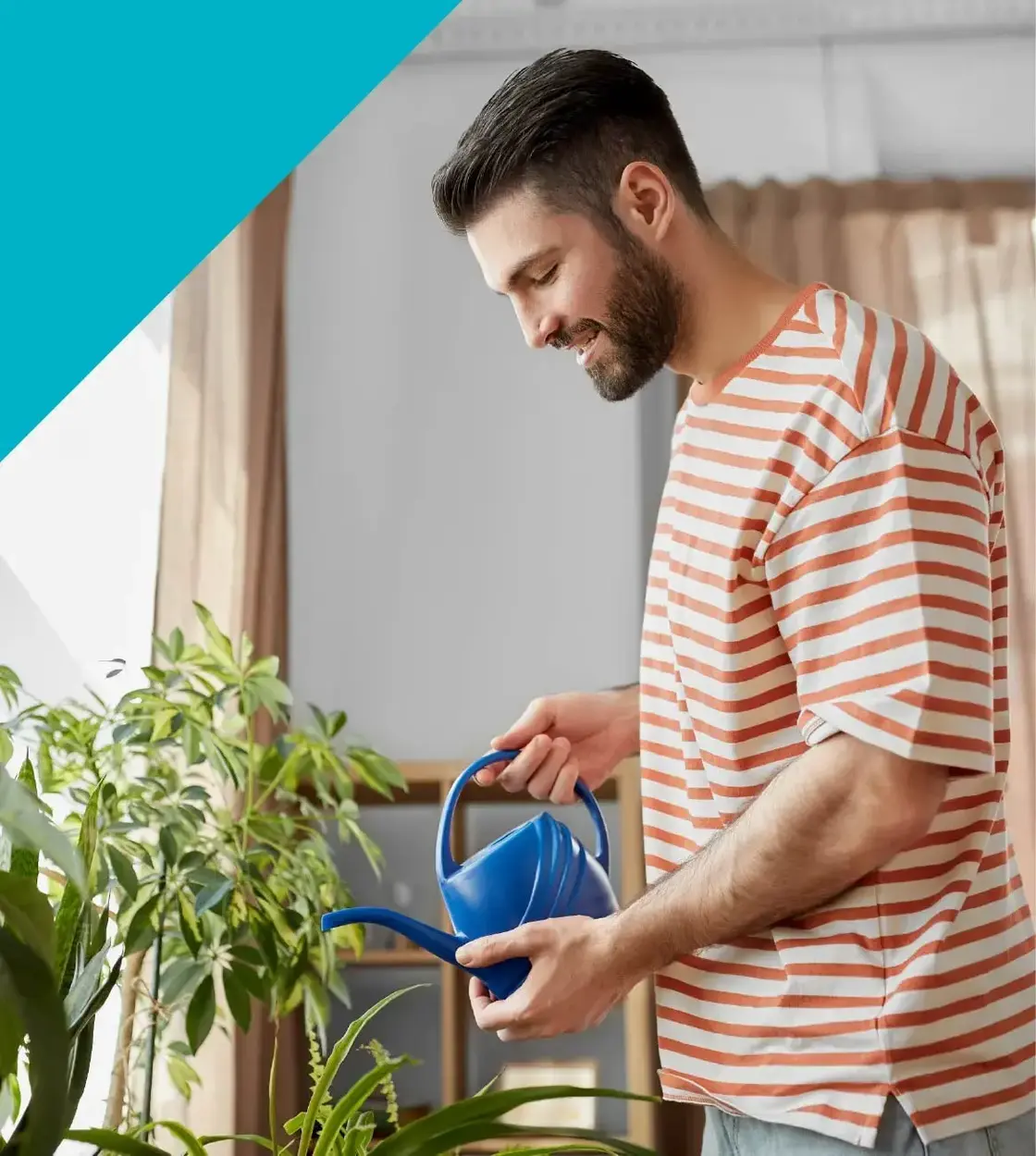 A bearded young man wearing a white and brown striped shirt waters his plant.