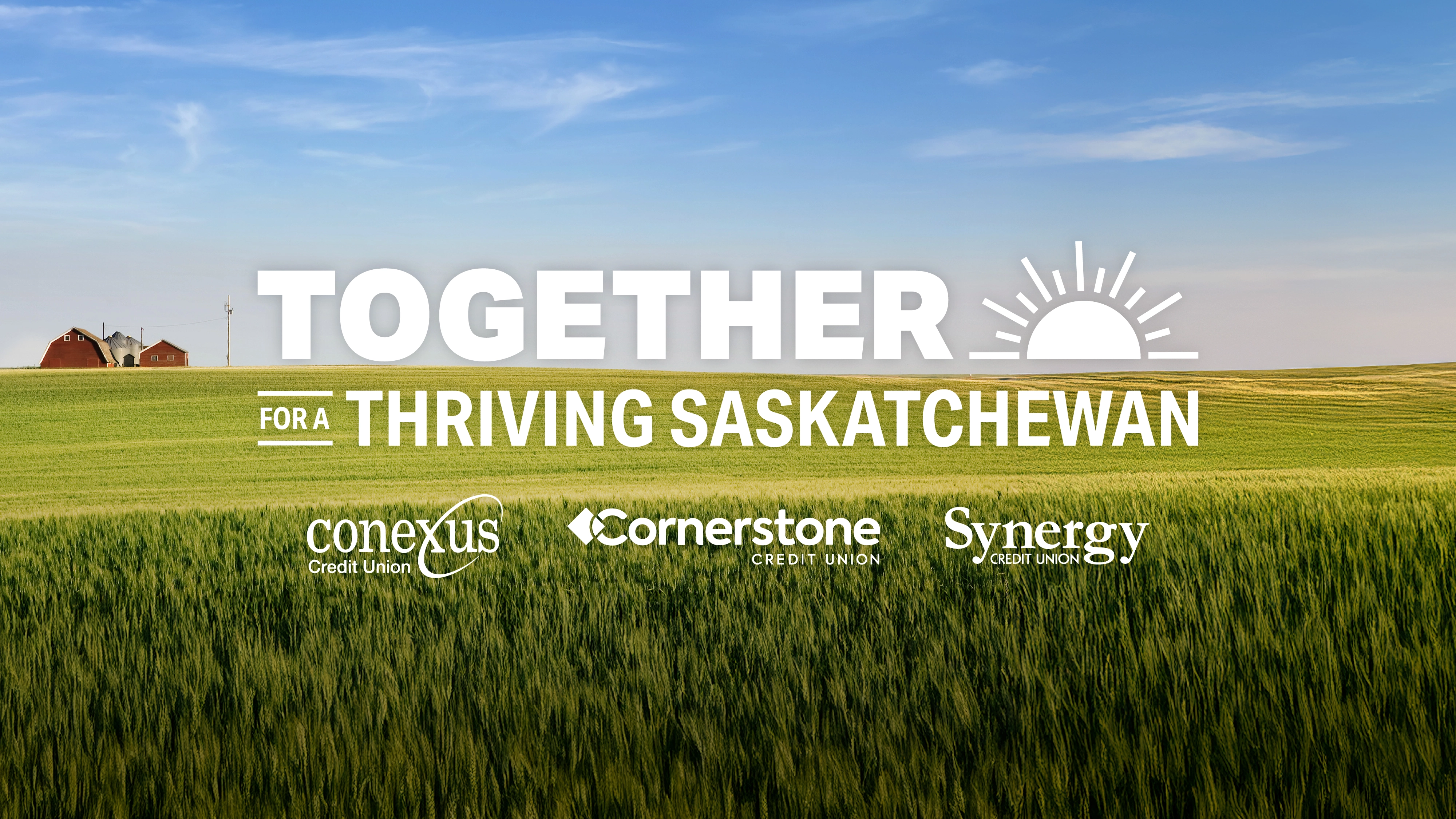 A canola field is pictured below a clear blue sky. The words “Together for a Thriving” are featured above the Conexus, Cornerstone, and Synergy Credit Union logos.