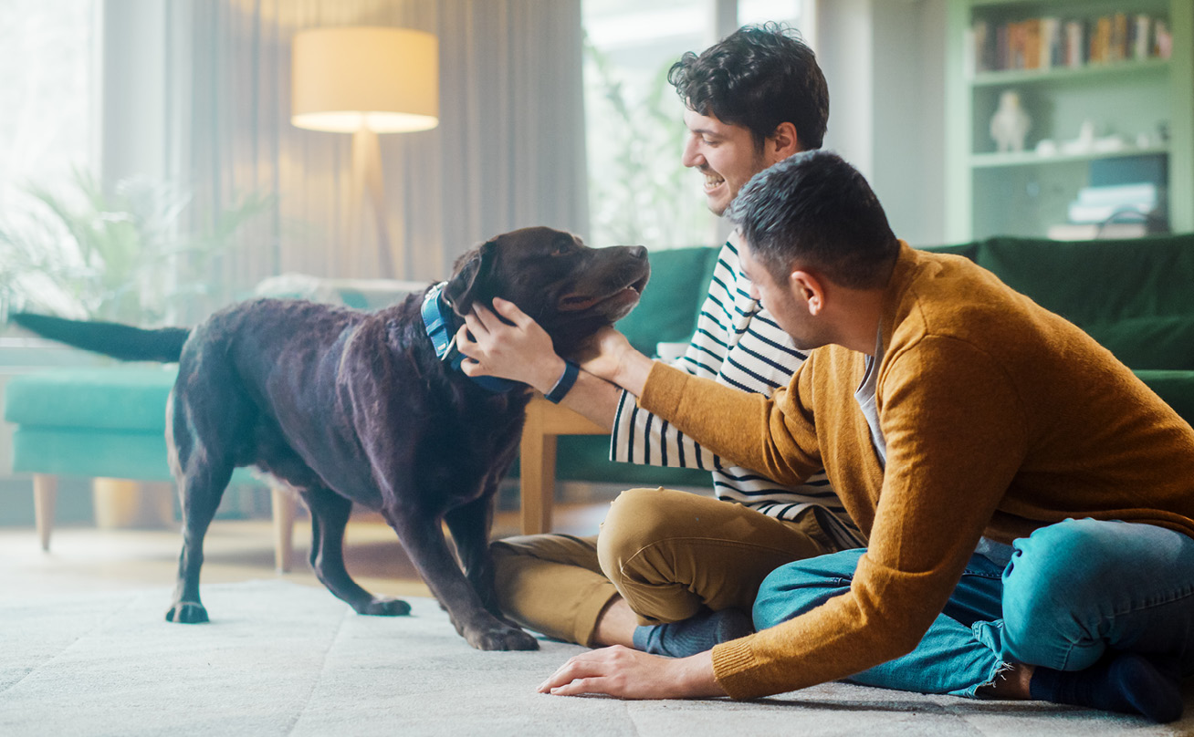 Two men sit on a living room floor and play with a Labrador retriever.